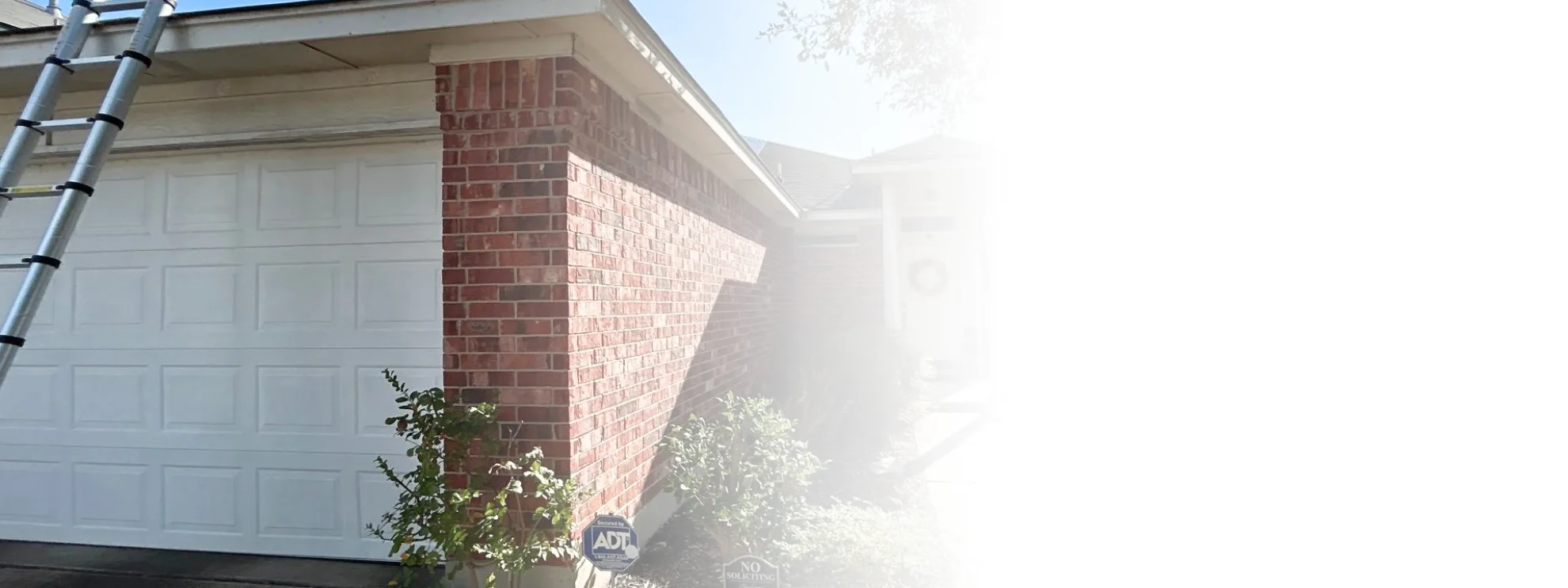 What We Do Background Frame